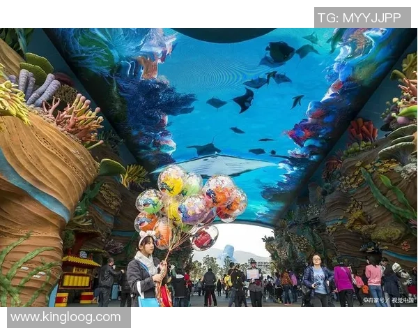 足球珊瑚的奇幻旅程探索海洋与运动的完美结合