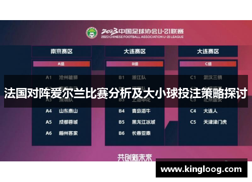 法国对阵爱尔兰比赛分析及大小球投注策略探讨