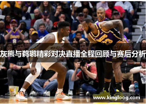灰熊与鹈鹕精彩对决直播全程回顾与赛后分析
