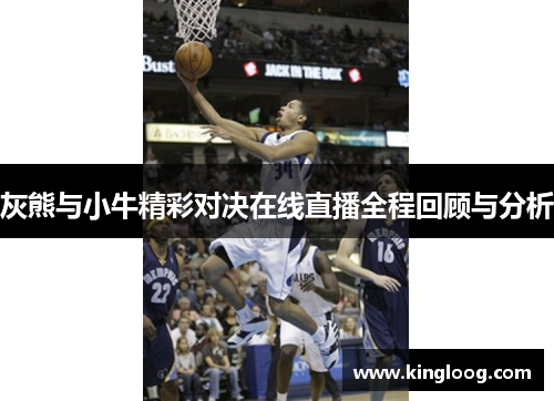 灰熊与小牛精彩对决在线直播全程回顾与分析